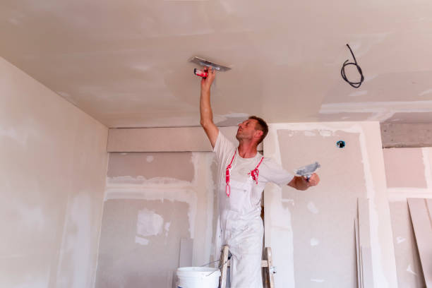 Trusted Knoxville, IL Dry wall and painting Experts